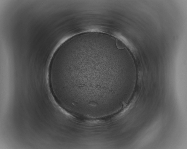 X0000110771331200906151318