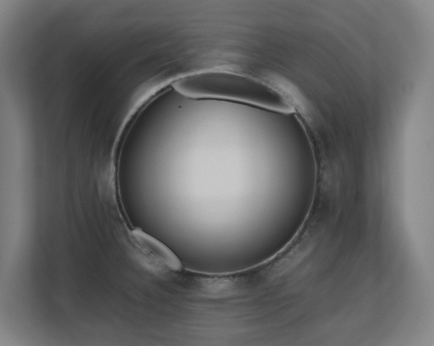 X0000110771332200906151318