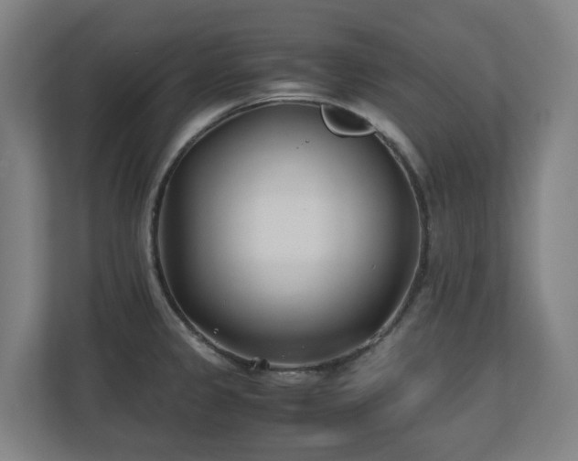 X0000110771333200906151318