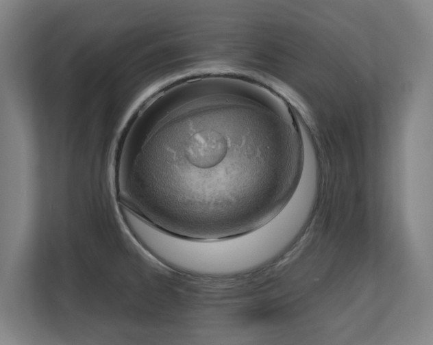 X0000110771334200906151318