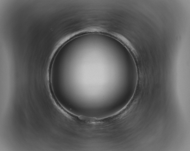 X0000110771335200906151318