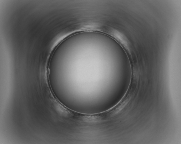X0000110771336200906151318