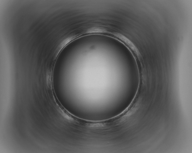 X0000110771337200906151318