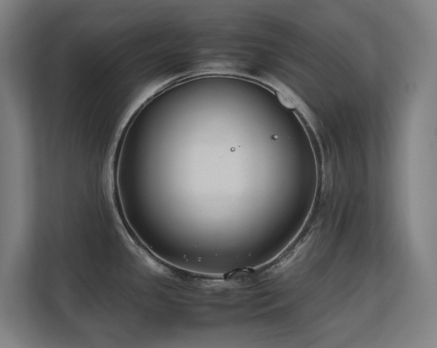 X0000110771341200906151318