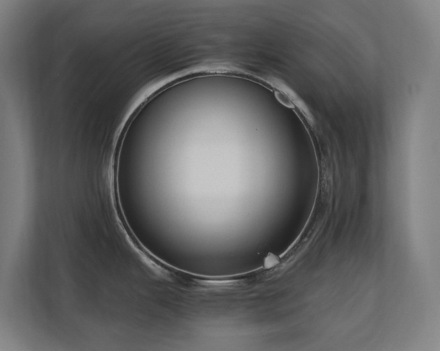 X0000110771343200906151318