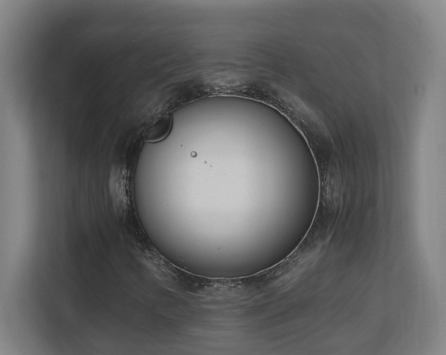 X0000110771346200906151317