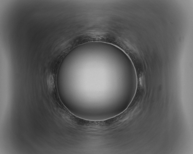 X0000110771347200906151317
