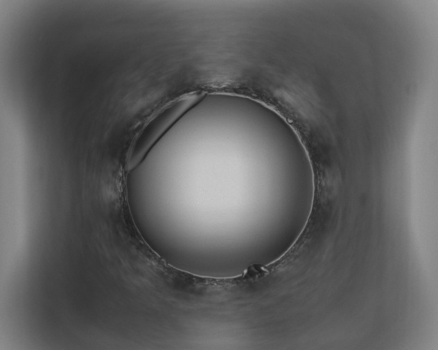 X0000110771349200906151317