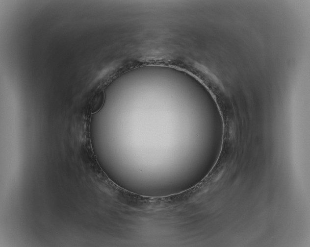 X0000110771350200906151317