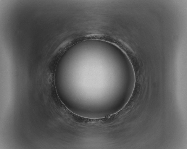 X0000110771351200906151317