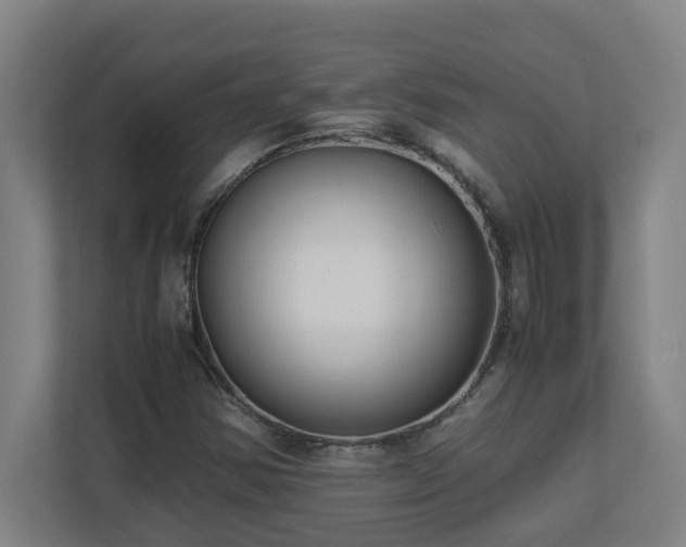 X0000110771354200906151317