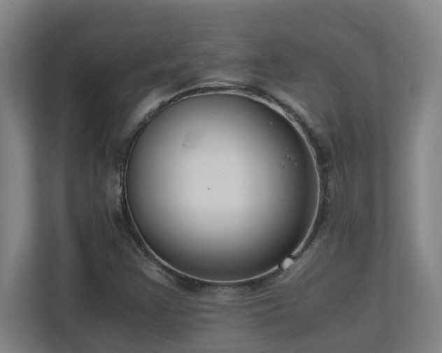 X0000110771355200906151317