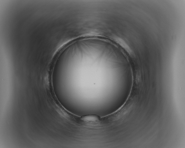 X0000110771356200906151317