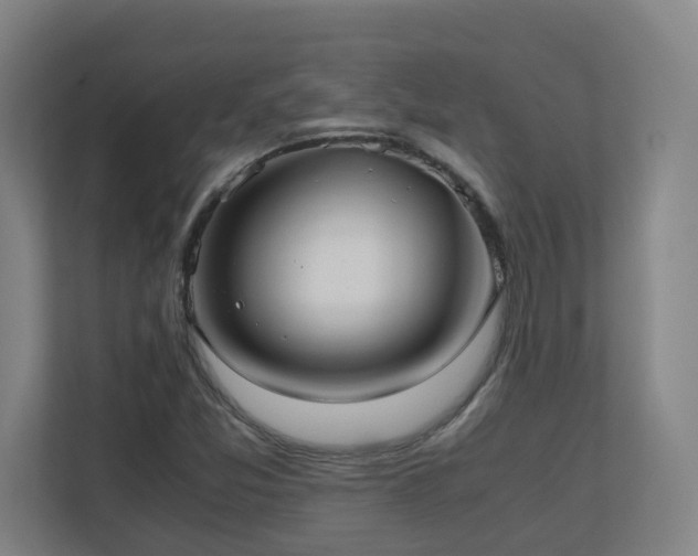 X0000110771357200906151317