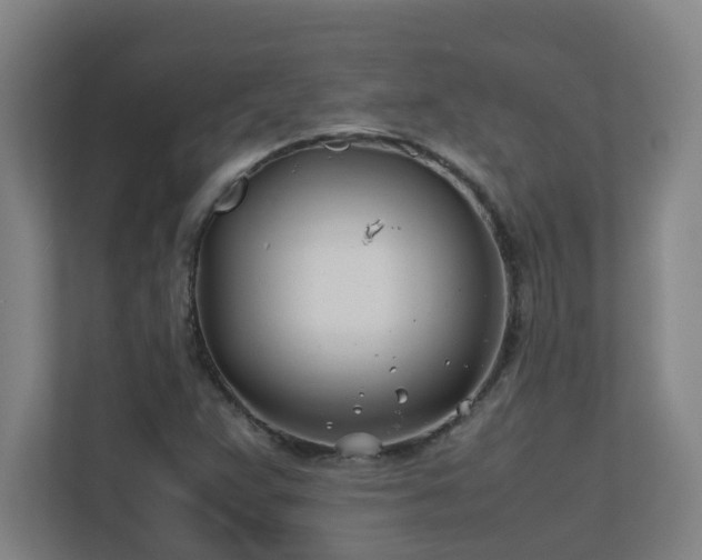 X0000110771359200906151317