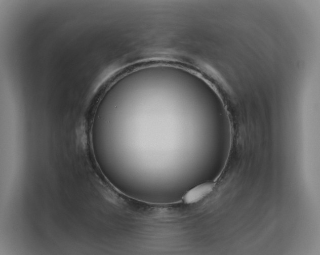 X0000110771360200906151317