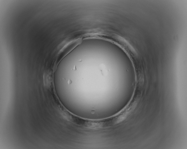 X0000110771361200906151317