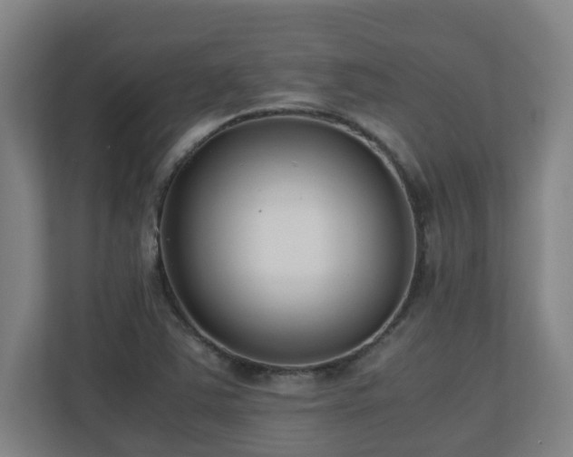 X0000110771363200906151317