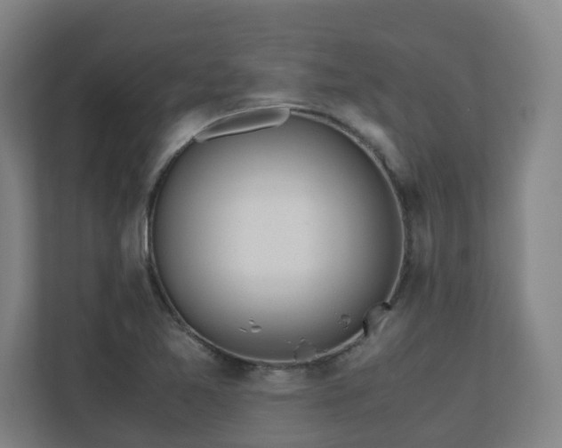 X0000110771365200906151317