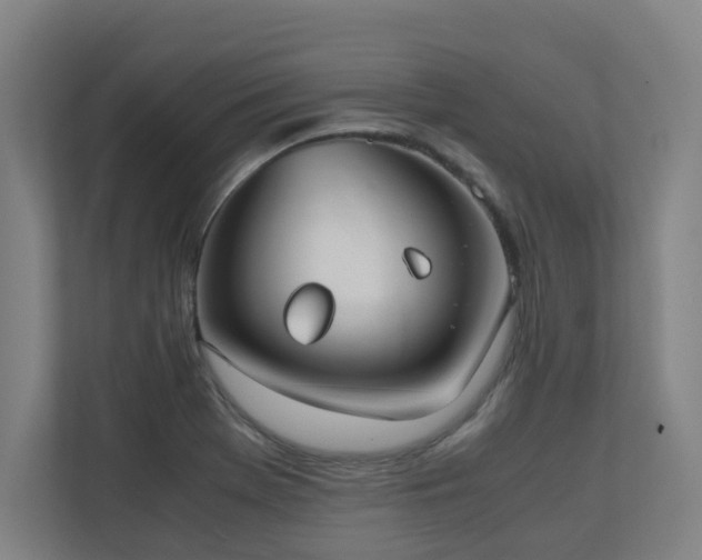 X0000110771369200906151317
