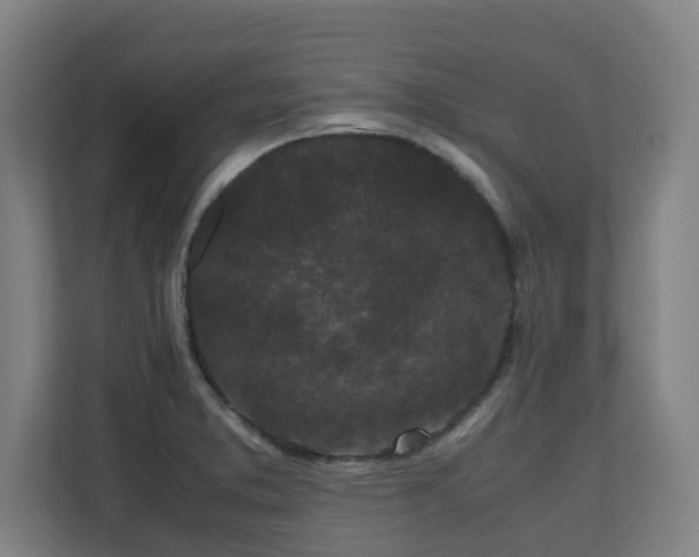 X0000110771373200906151317
