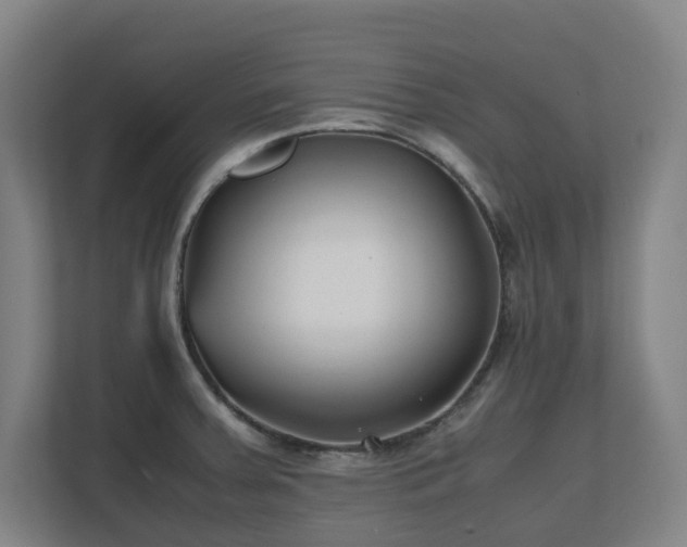 X0000110771379200906151317