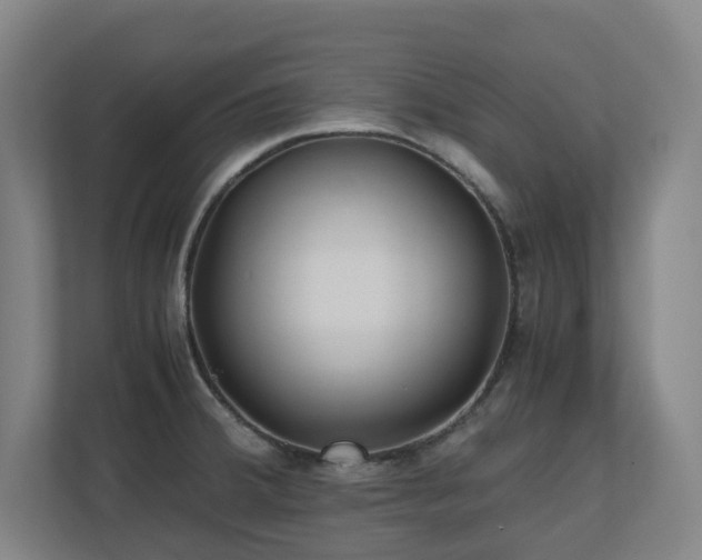 X0000110771380200906151317