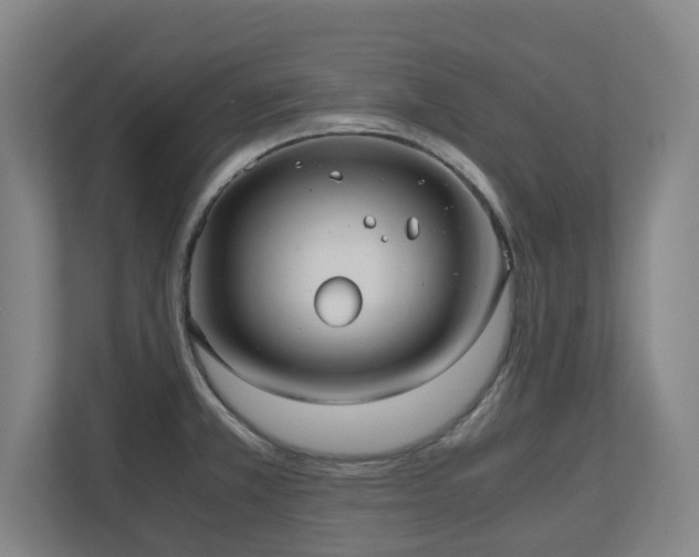 X0000110771381200906151317