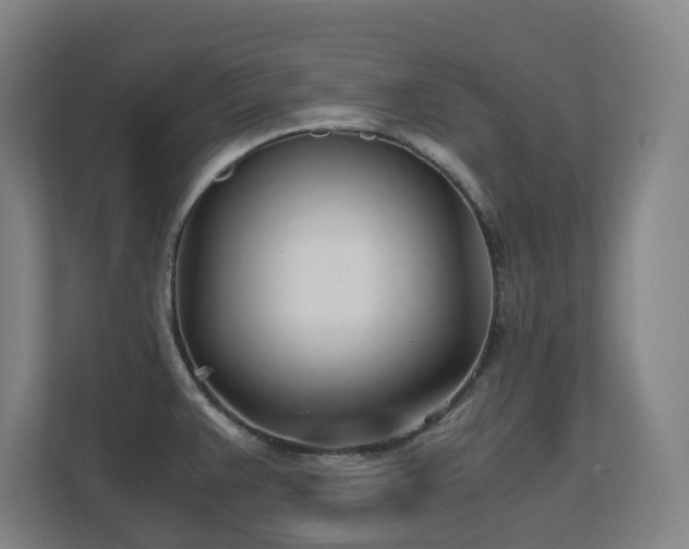 X0000110771383200906151317