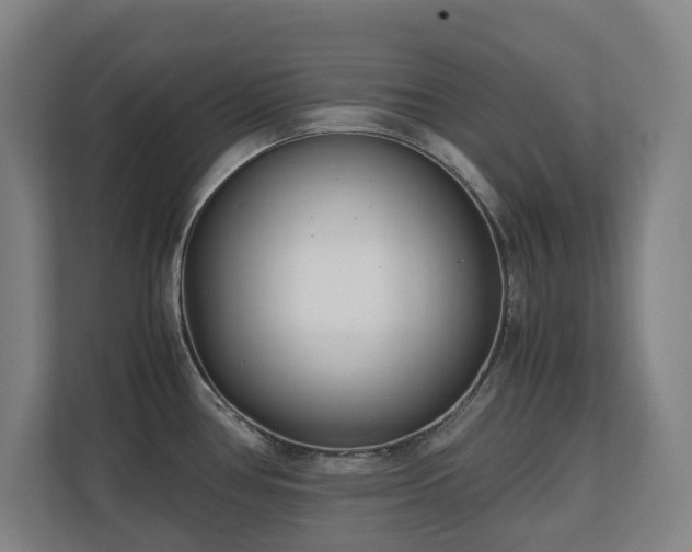X0000110771386200906151317