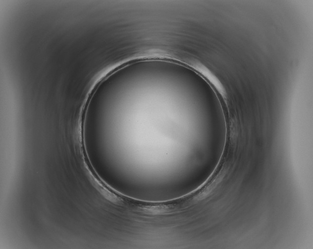 X0000110771388200906151317