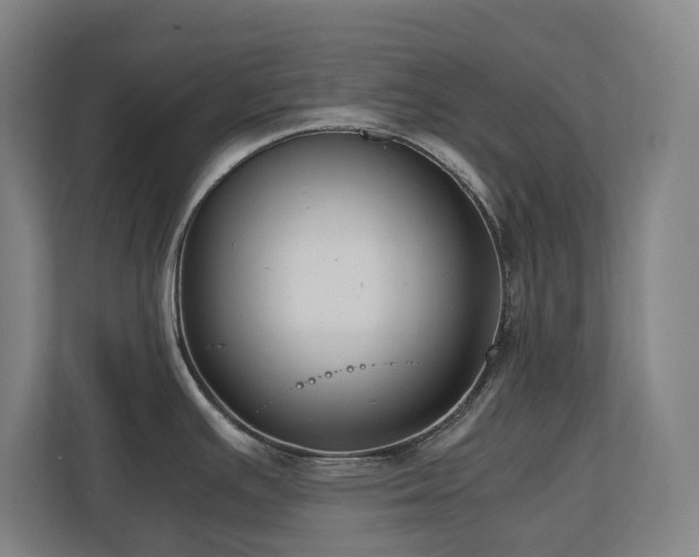 X0000110771391200906151317
