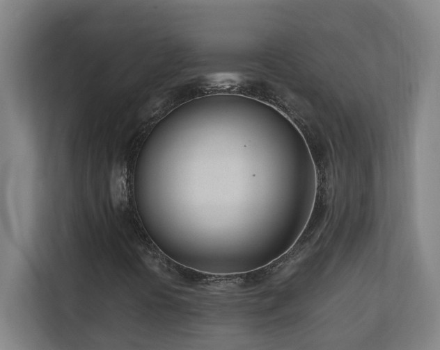 X0000110771394200906151316
