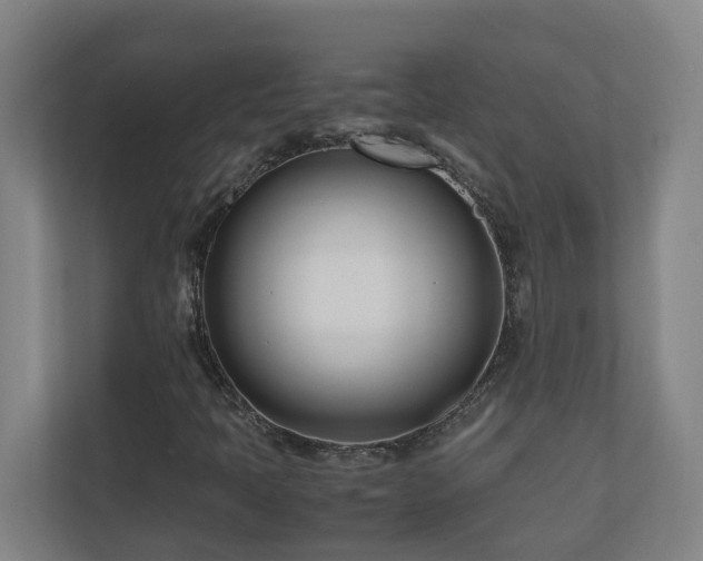 X0000110771397200906151316