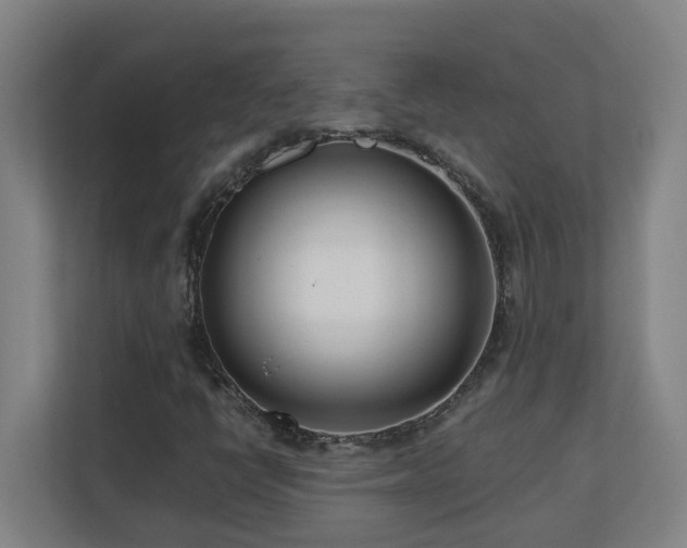 X0000110771398200906151316