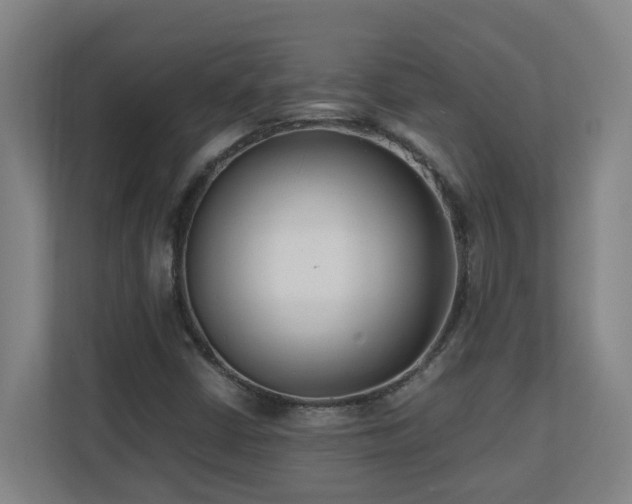 X0000110771402200906151316