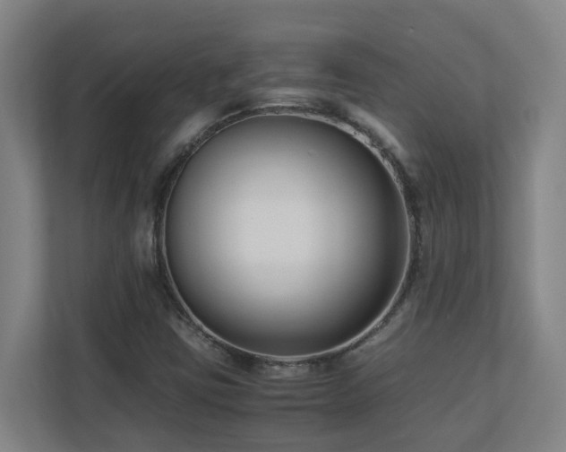 X0000110771403200906151316