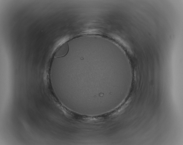 X0000110771405200906151316