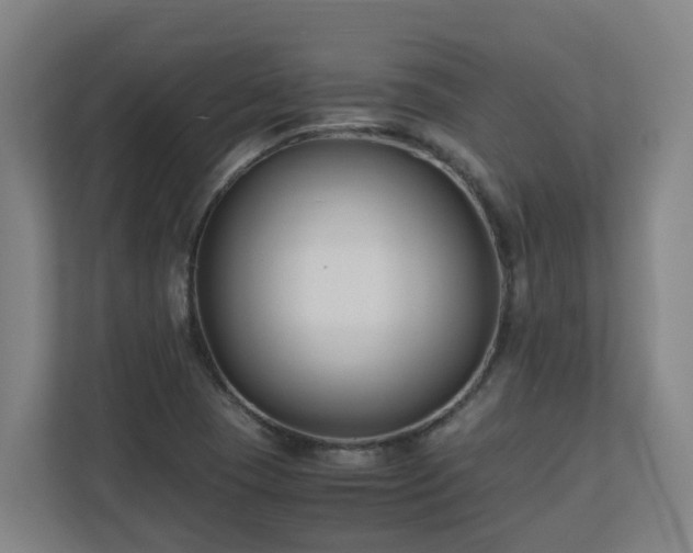 X0000110771409200906151316