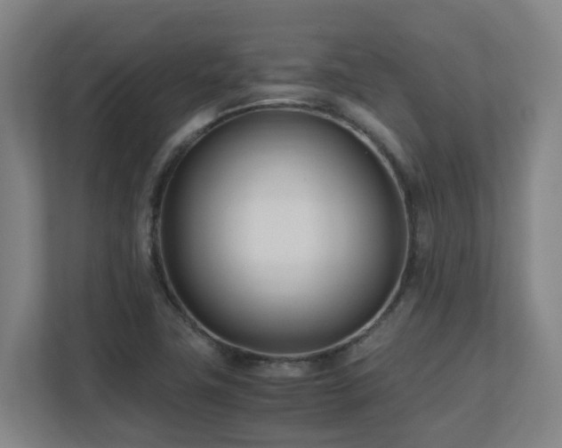 X0000110771411200906151316