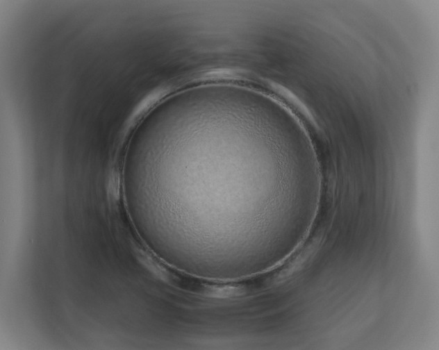 X0000110771413200906151316
