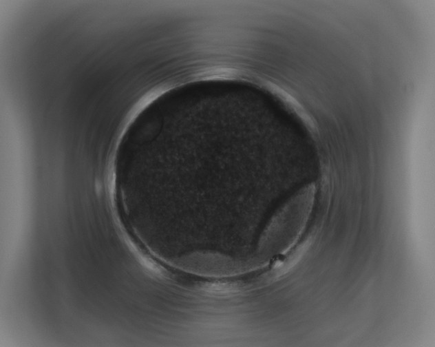 X0000110771418200906151316