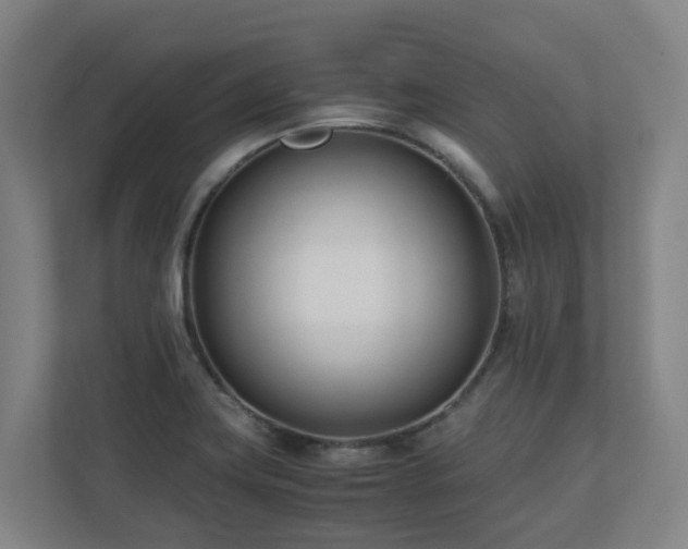 X0000110771419200906151317