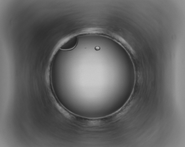 X0000110771421200906151317