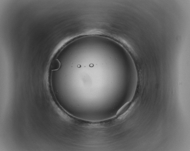 X0000110771422200906151317