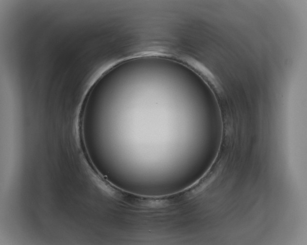 X0000110771423200906151317
