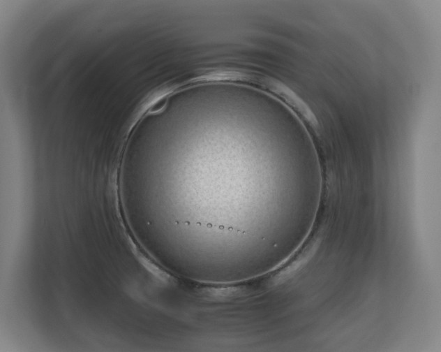 X0000110771425200906151317