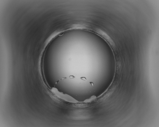 X0000110771427200906151317