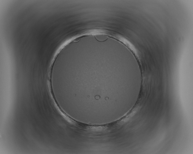 X0000110771429200906151317