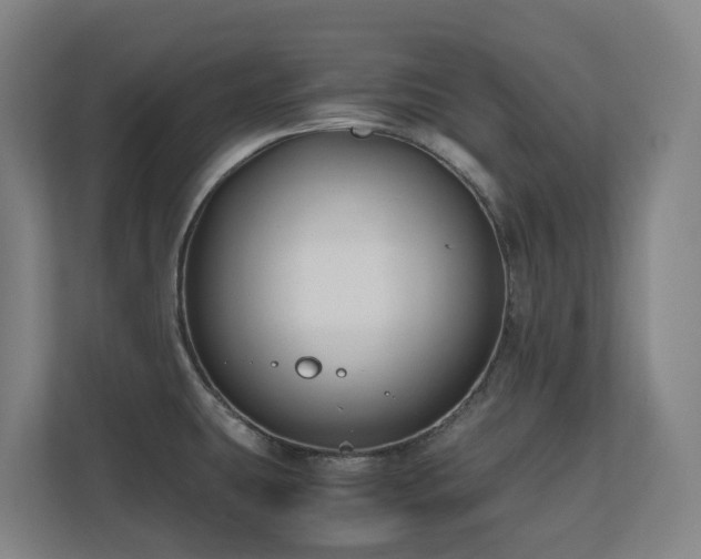 X0000110771431200906151317